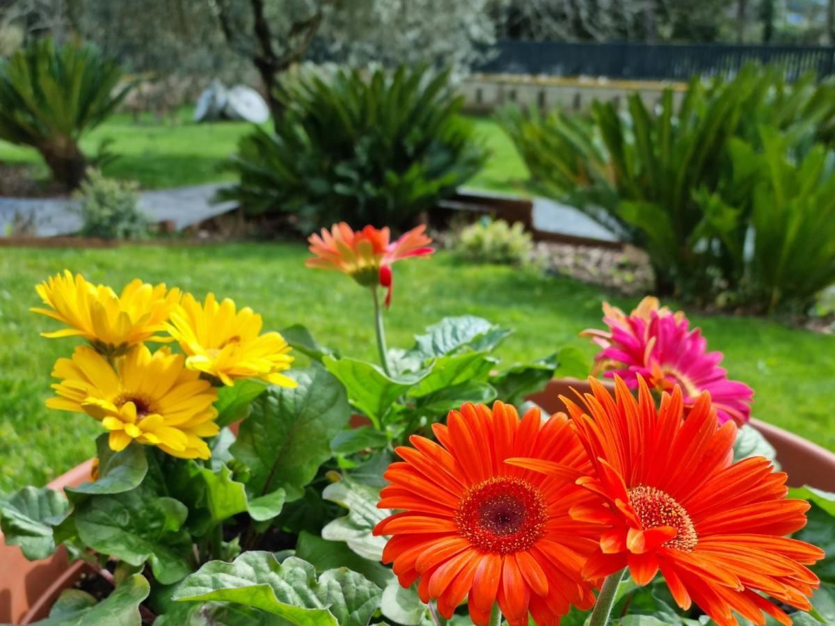 Il Casale Nel Parco * Rom