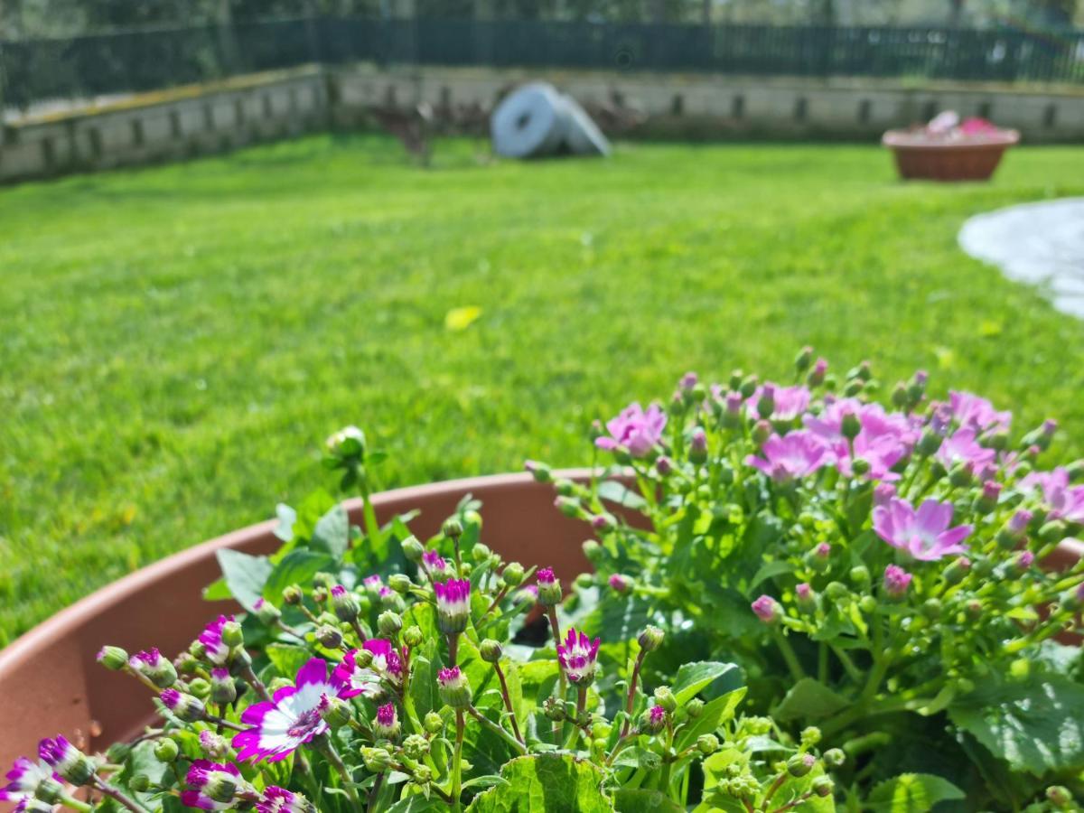 Alojamento de Acomodação e Pequeno-almoço Il Casale Nel Parco